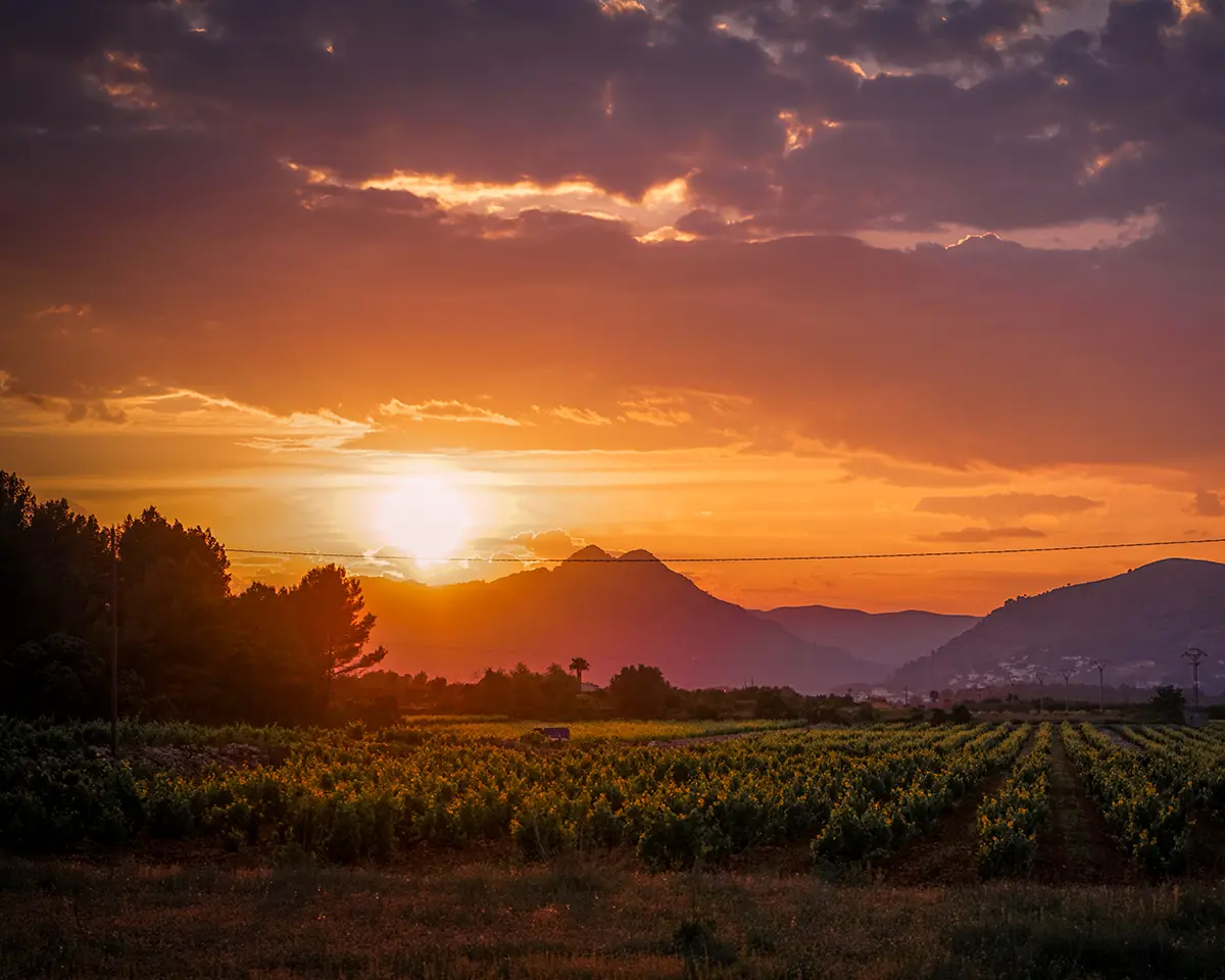 Wine selection at Piccolo di Mare